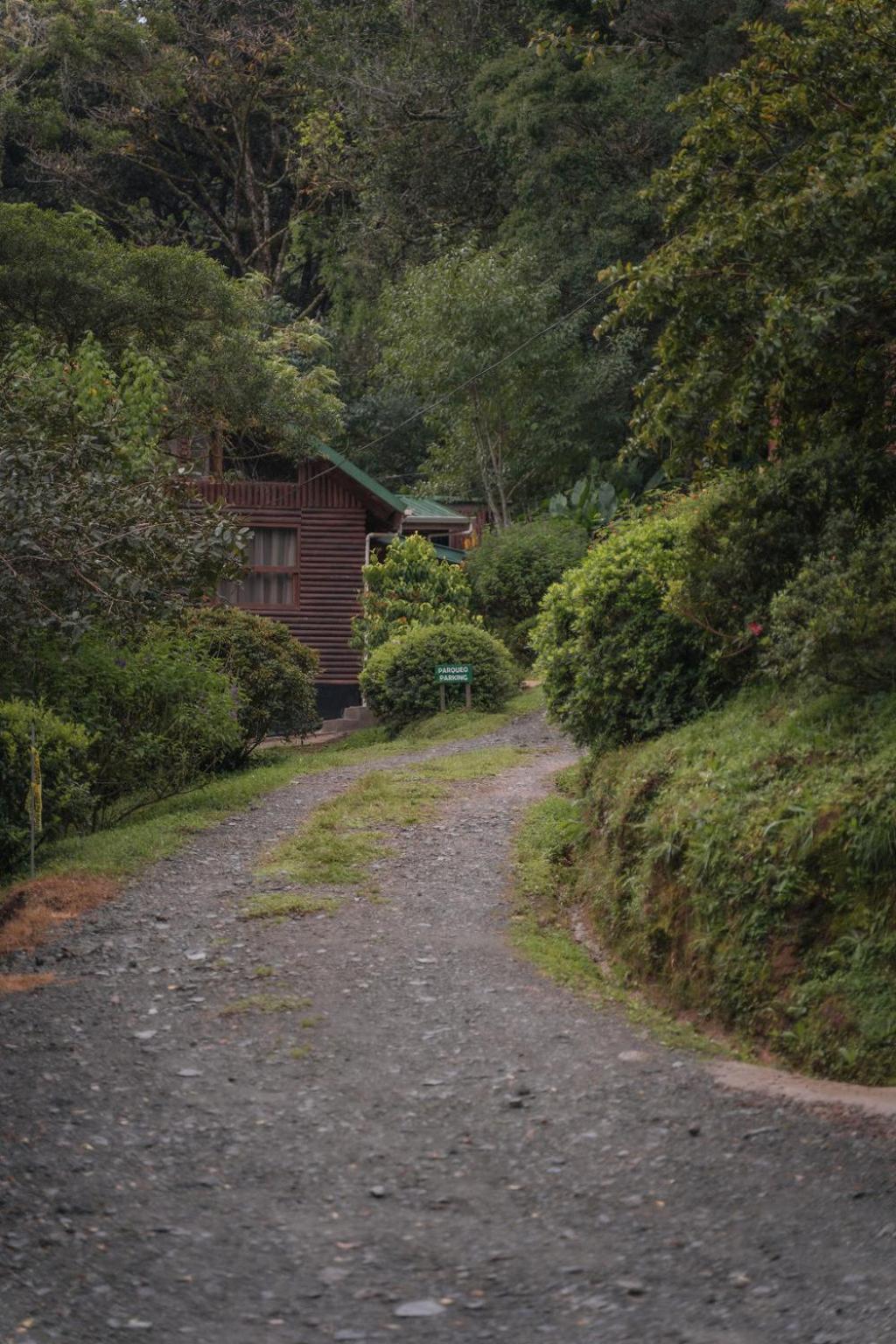 Cedrela Eco-Lodge & Restaurante Copey Exterior photo